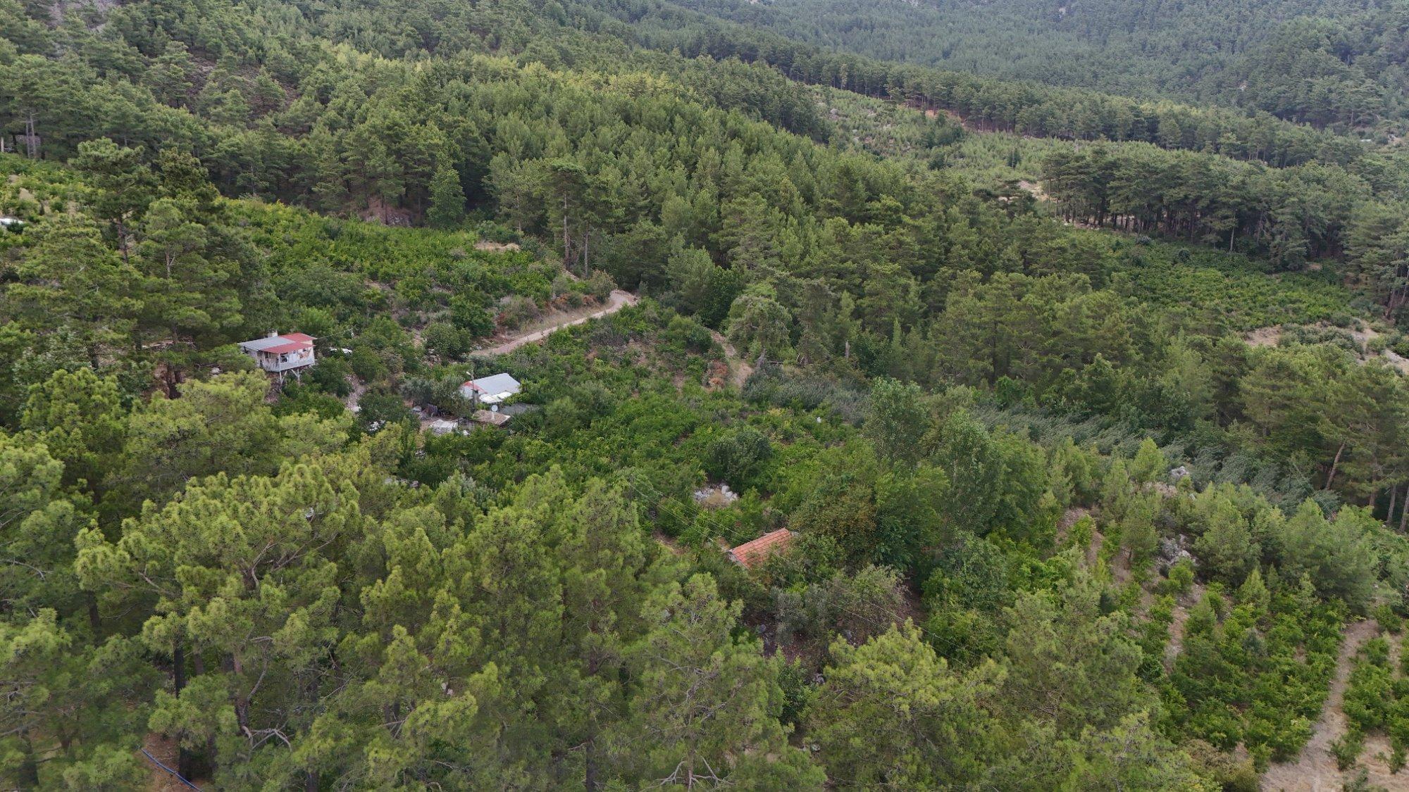 EKSPER'DEN DOĞAYLA İÇ İÇE, KÖY YERLEŞİK ALANINDA 565 m² TEK TAPU ARSA!